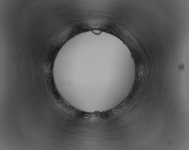 X0000089420559200707131825