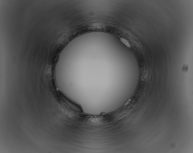 X0000089420560200707131825