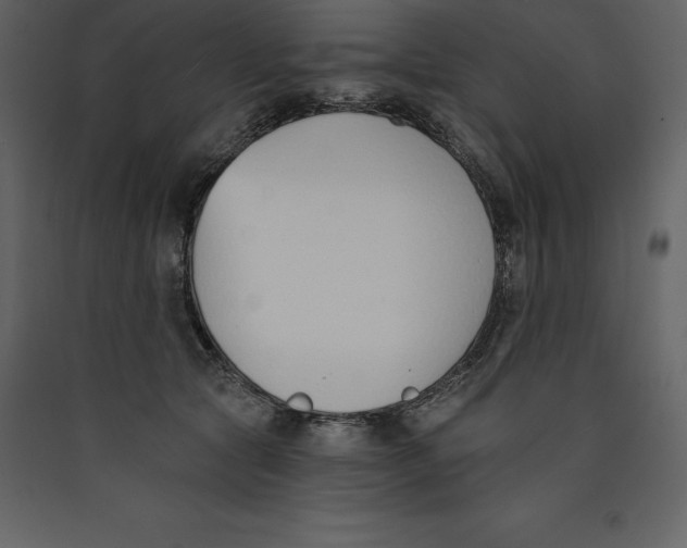 X0000089420561200707131825