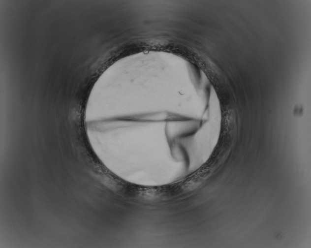 X0000089420565200707131825