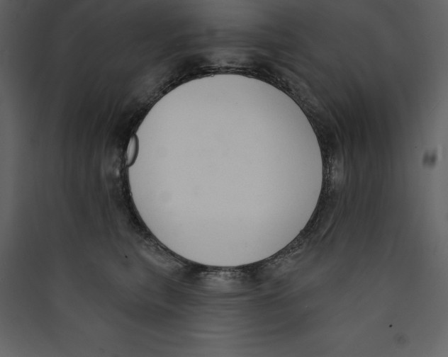 X0000089420567200707131825