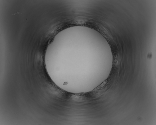 X0000089420568200707131825