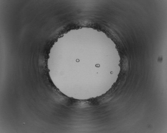 X0000089420569200707131825
