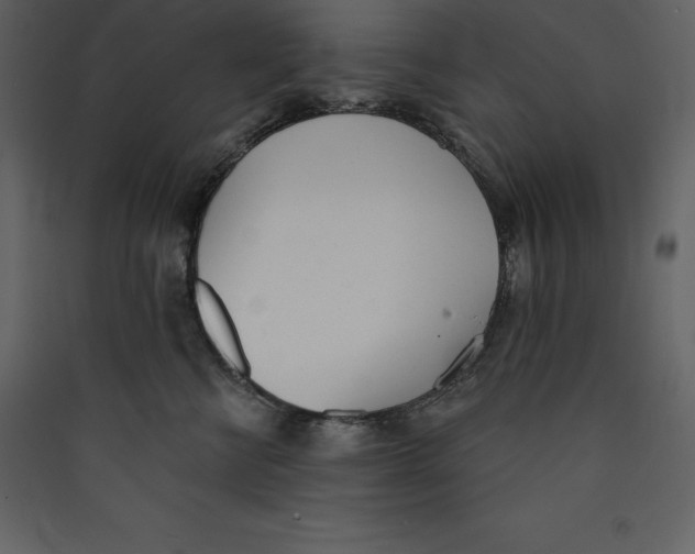 X0000089420570200707131825
