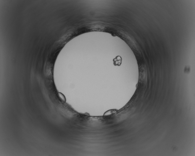 X0000089420573200707131825