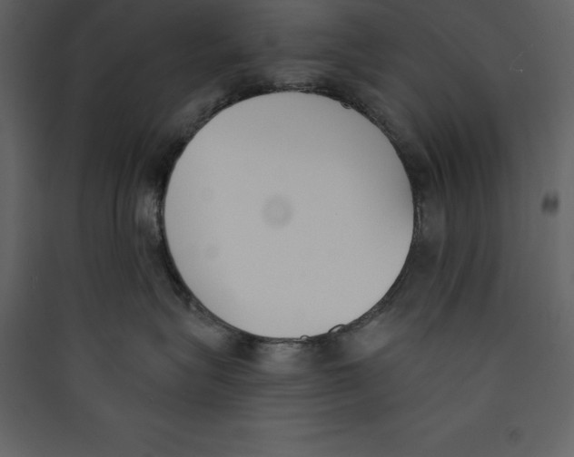 X0000089420575200707131825