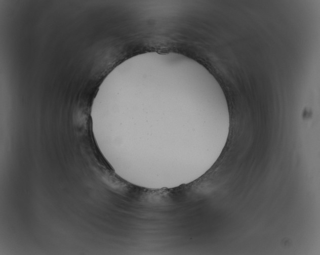 X0000089420576200707131825