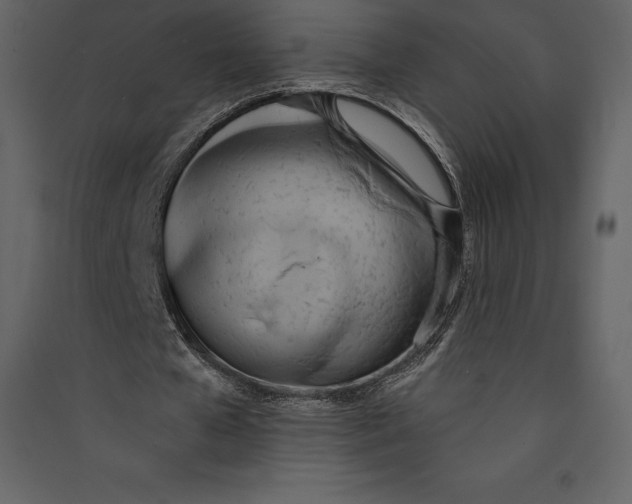 X0000089420577200707131824