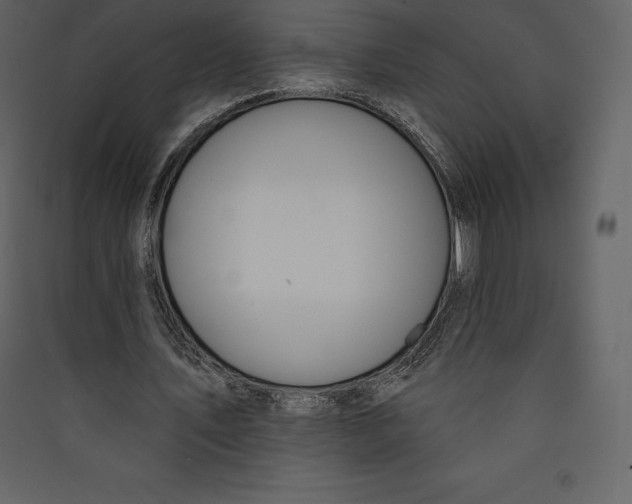 X0000089420579200707131824