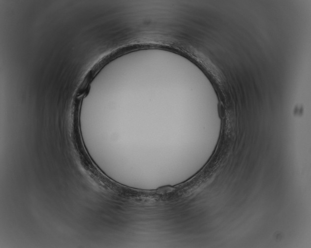 X0000089420580200707131824