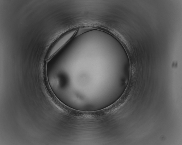 X0000089420581200707131824