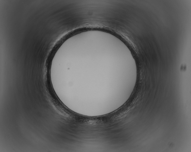 X0000089420584200707131824
