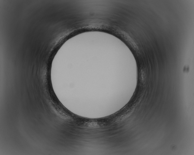 X0000089420588200707131824