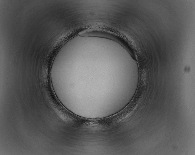 X0000089420589200707131824