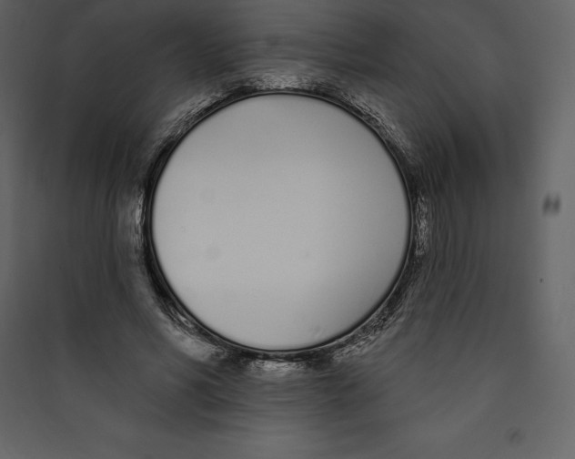 X0000089420590200707131824