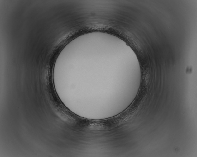 X0000089420591200707131824