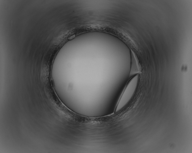 X0000089420593200707131824