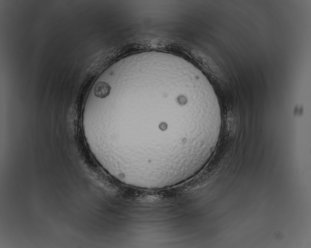 X0000089420594200707131824
