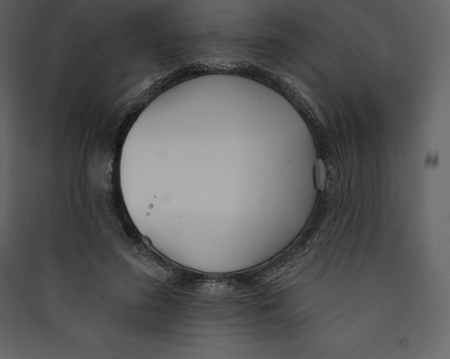 X0000089420596200707131824