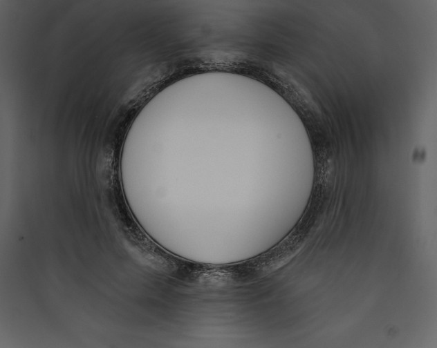 X0000089420599200707131824
