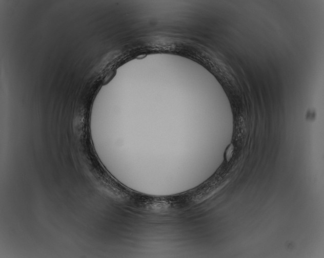 X0000089420600200707131824