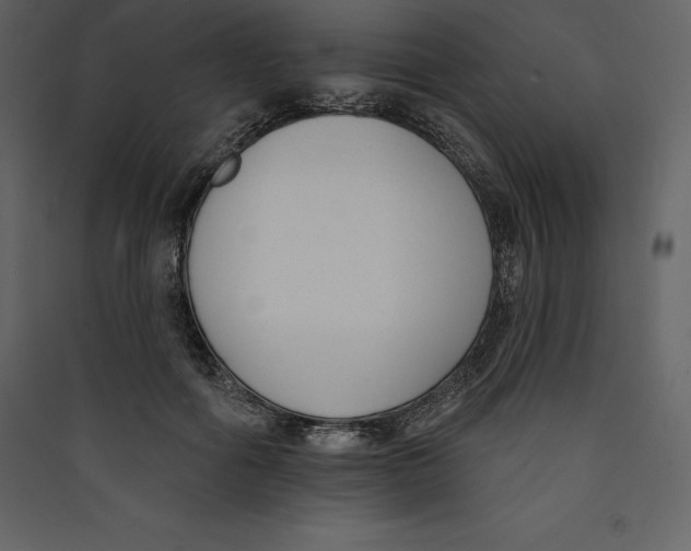X0000089420602200707131824