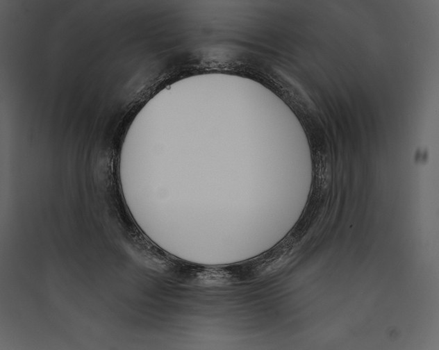 X0000089420603200707131824