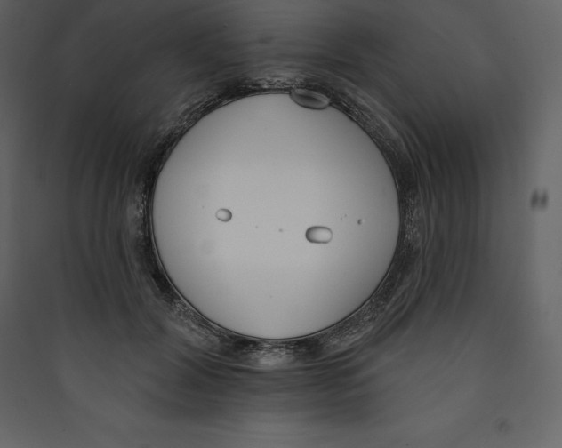 X0000089420604200707131824