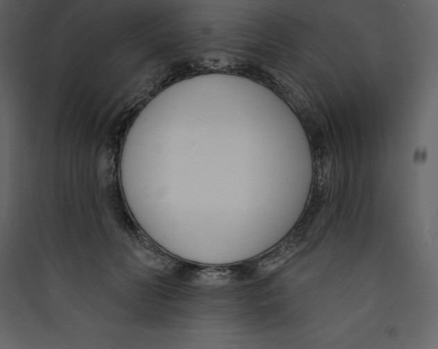X0000089420606200707131824