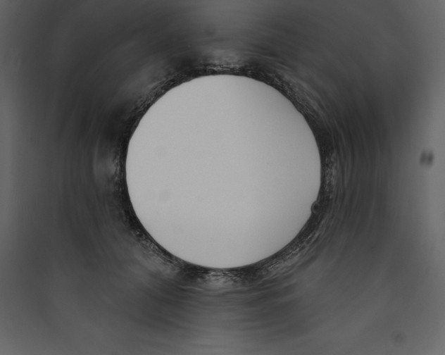 X0000089420608200707131824