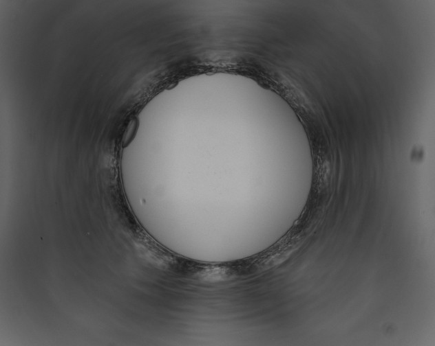 X0000089420609200707131824