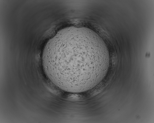 X0000089420611200707131824