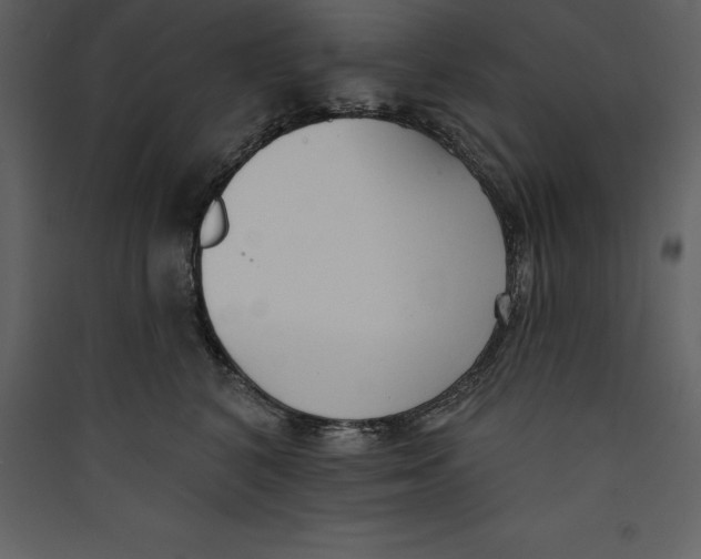 X0000089420616200707131824
