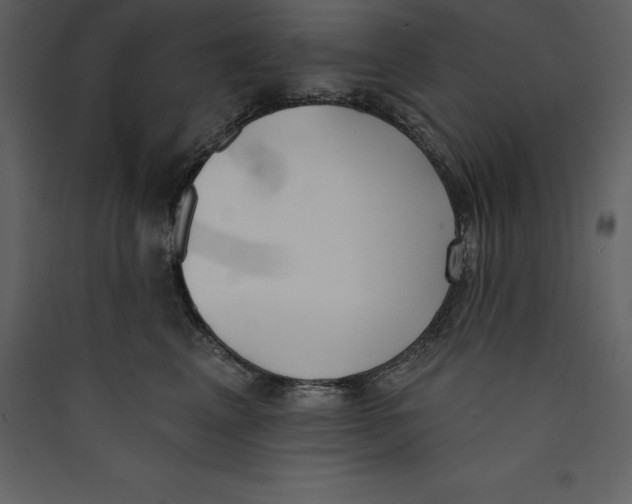 X0000089420617200707131824