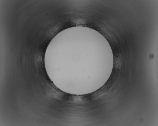 X0000089420618200707131824