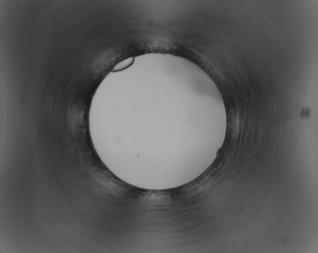 X0000089420619200707131824