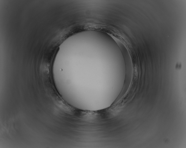 X0000089420621200707131824