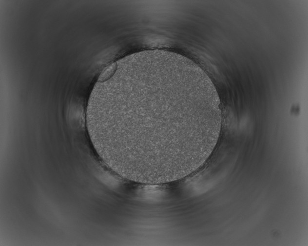 X0000089420622200707131824