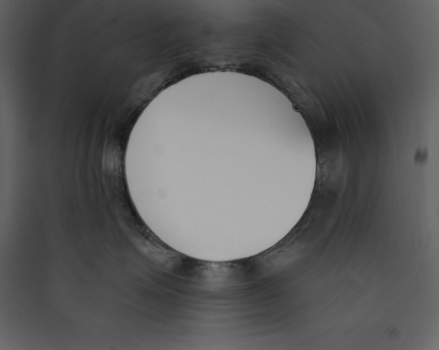 X0000089420623200707131824