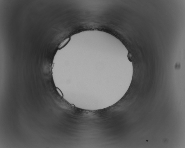 X0000089420624200707131824