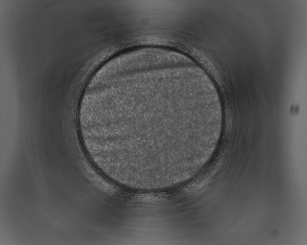 X0000089420625200707131823
