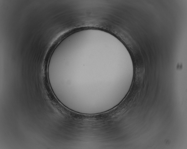 X0000089420628200707131823