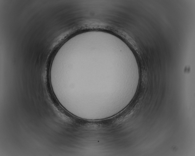 X0000089420629200707131823