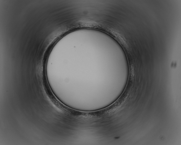 X0000089420630200707131823