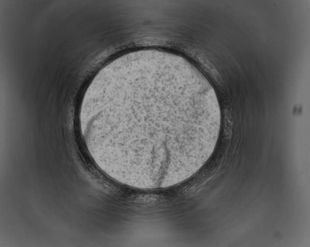 X0000089420631200707131823