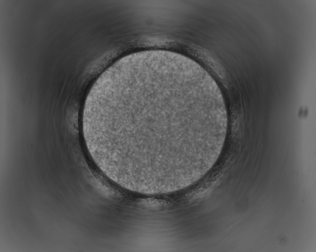 X0000089420633200707131823