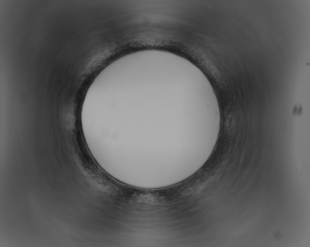 X0000089420635200707131823