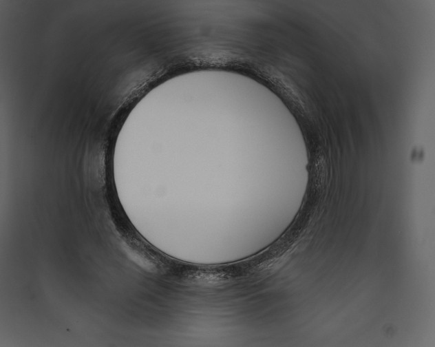 X0000089420638200707131823