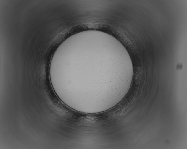 X0000089420639200707131823