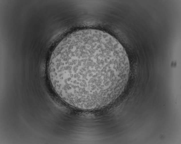 X0000089420640200707131823